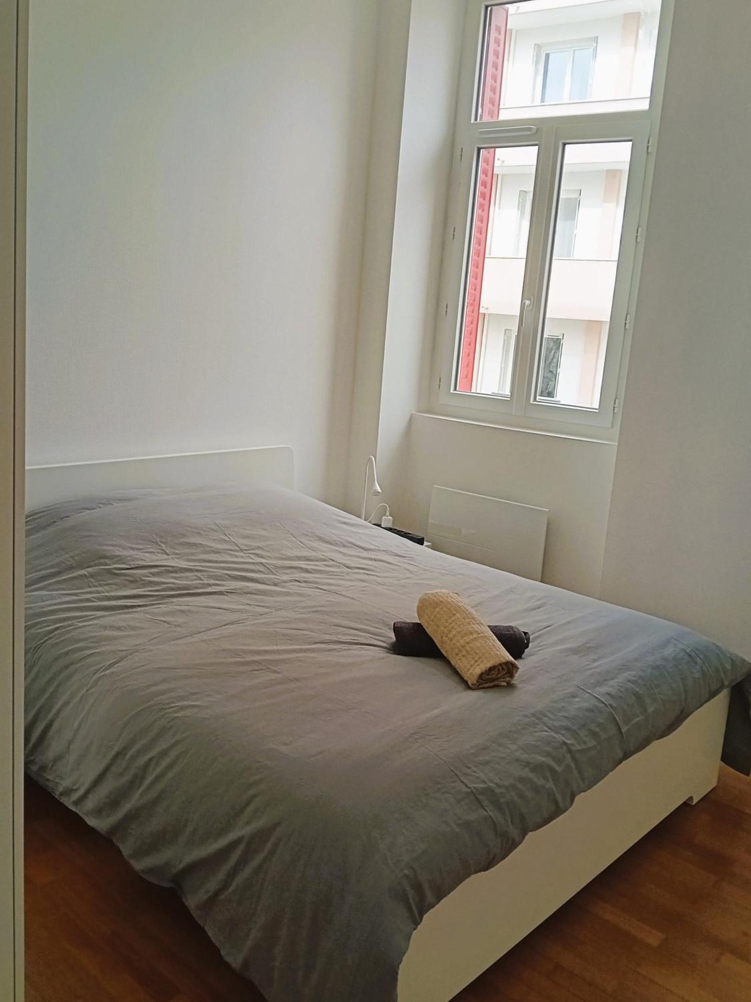 102 - Appart Renove Avec Grand Salon Et 1 Chambre - Tram Et Clinique Mutualiste A 1 Min เกรอน็อบล์ ภายนอก รูปภาพ